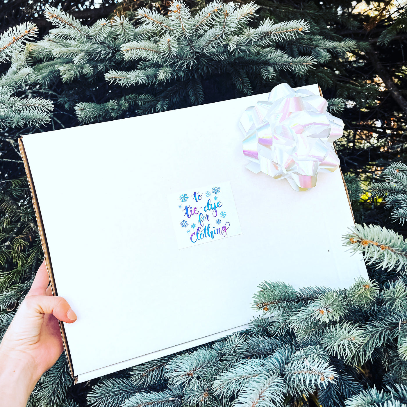 Child TTDFC Holiday Gift Box Set
