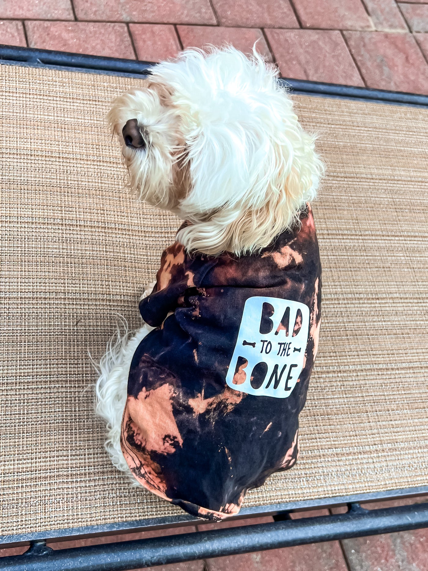 Bleach Dye Shirt for Pets - Bad to the Bone