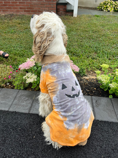 Tie-Dye Shirt for Pets - Pumpkin Face