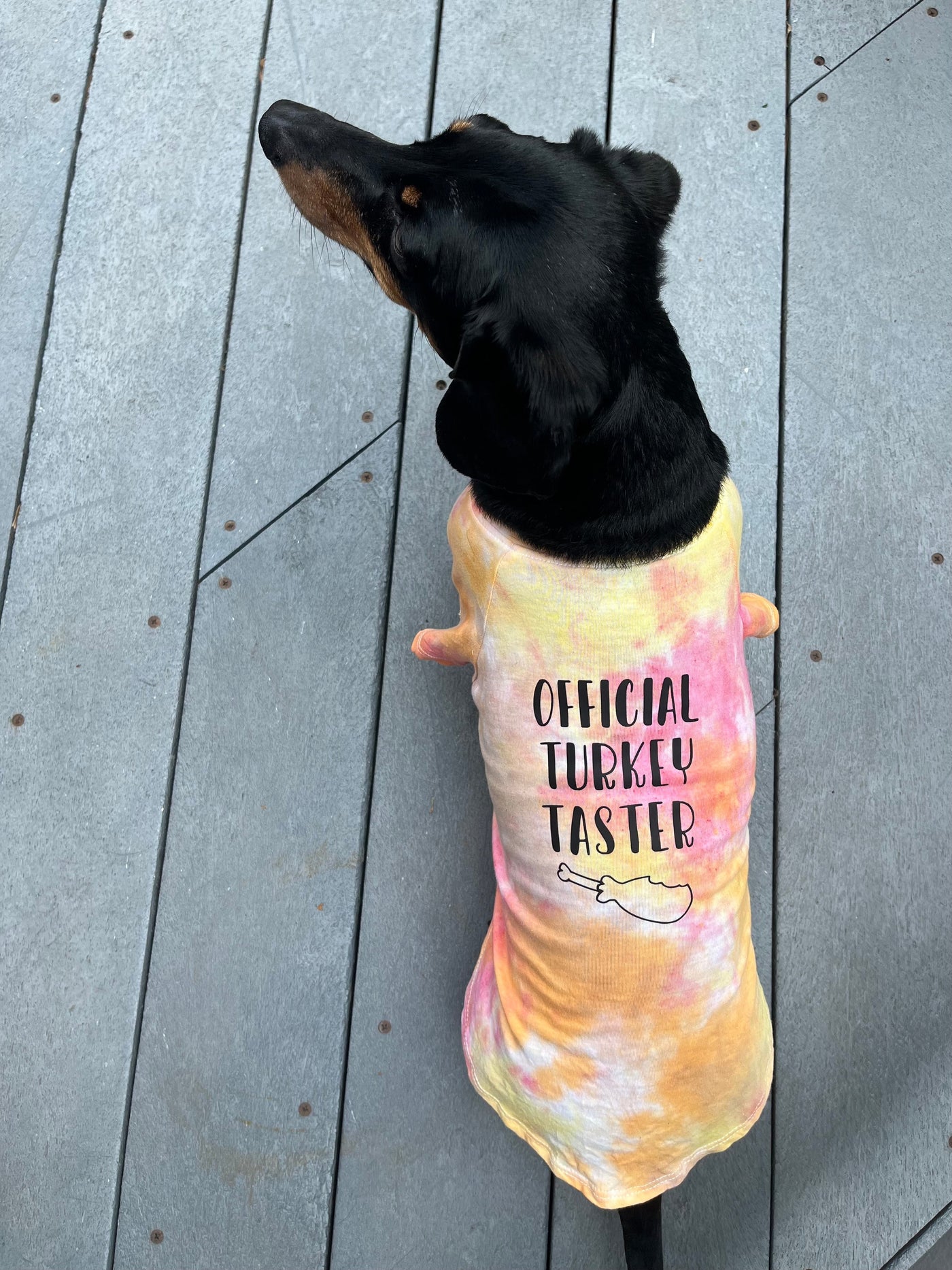 Holiday Tie-Dye Shirt for Pets - Official Turkey Taster