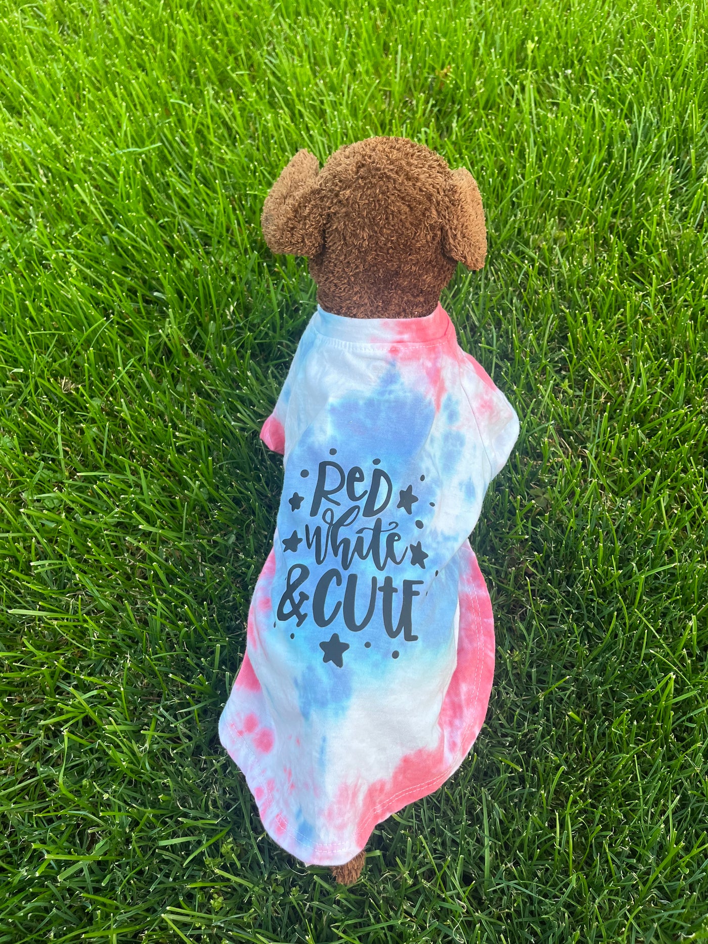 Tie-Dye Shirt for Pets - Red, White & Cute