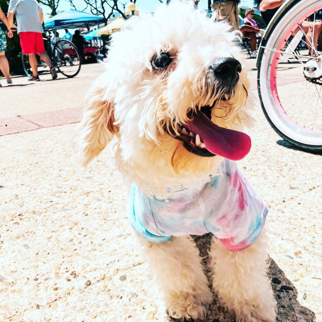 Tie-Dye Shirt for Pets