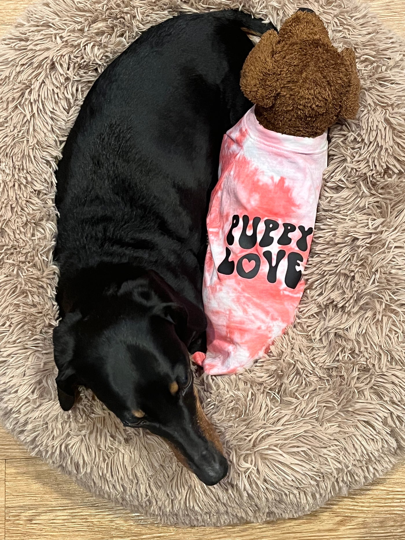 Tie-Dye Shirt for Pets - Puppy Love